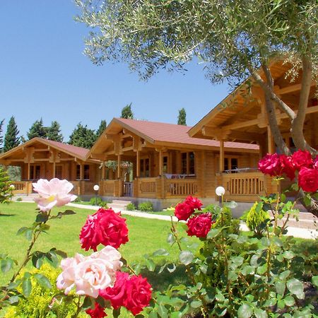 Sandys Studios Apartments And Log Villas Psalidi  Exterior photo